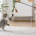 Котёнок играет с безопасной игрушкой в комнате